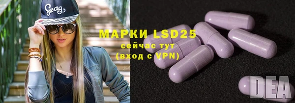 прущие грибы Вязьма
