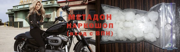 прущие грибы Вязьма