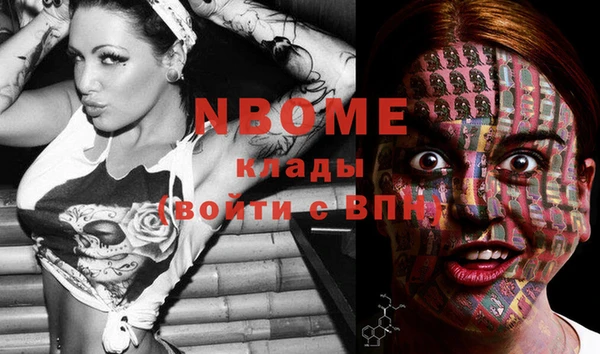 прущие грибы Вязьма