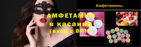 прущие грибы Вязьма