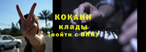 прущие грибы Вязьма