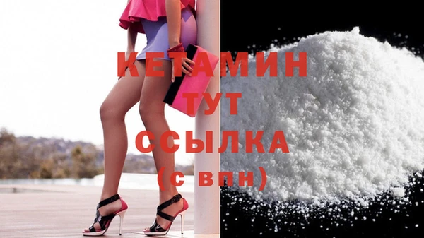 прущие грибы Вязьма