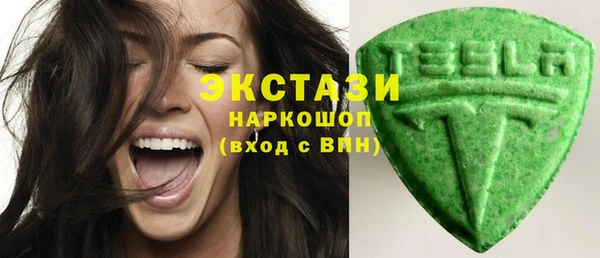 прущие грибы Вязьма