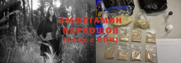 прущие грибы Вязьма